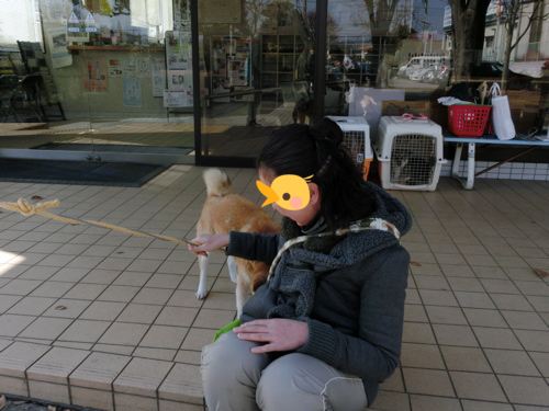 a0285205_20494686.png