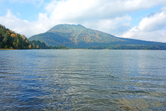 a0148606_21261682.jpg