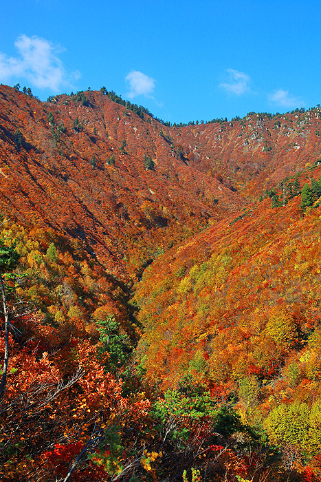 a0148606_21471015.jpg