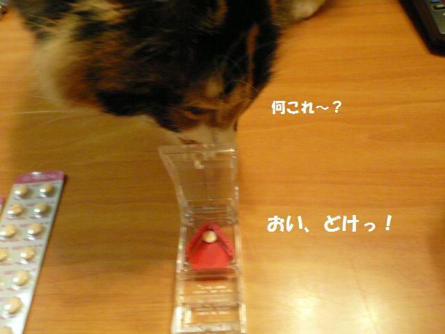e0094407_2216797.jpg