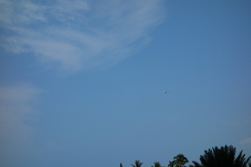 e0181908_904267.jpg