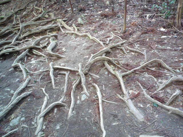 さあ　貴船神社へ_b0259210_1622353.jpg