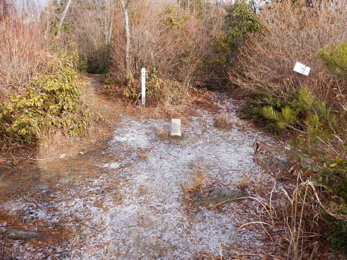 f0219710_7143367.jpg