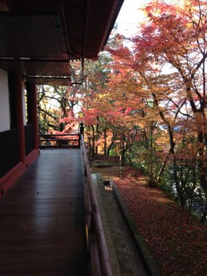 京都の紅葉_d0184114_848857.jpg
