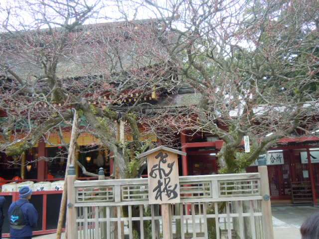 f0164515_021314.jpg