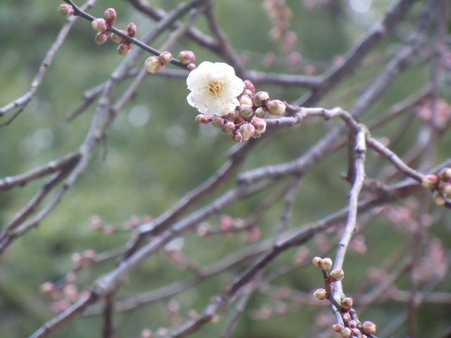 f0164515_0213669.jpg