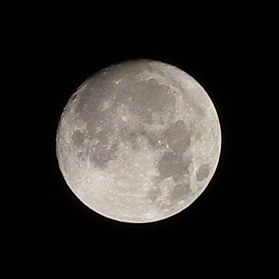 a0260019_545740.jpg