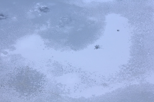e0242721_1531570.jpg