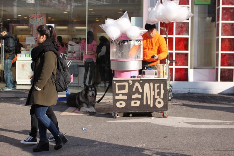 韓国旅行その12 「弘大＆TRICK EYE MUSEUM」_d0148729_2048584.jpg