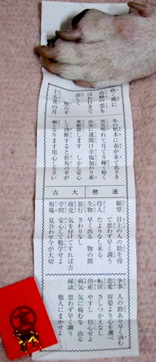 c0192330_22523461.jpg