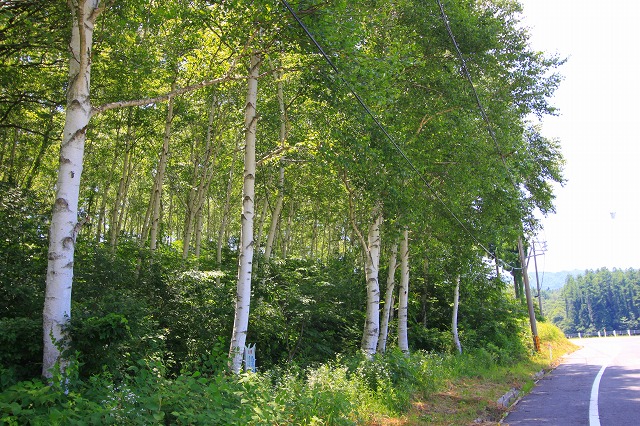 a0045932_11115559.jpg