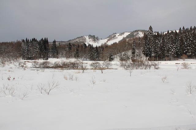 a0045932_11173527.jpg