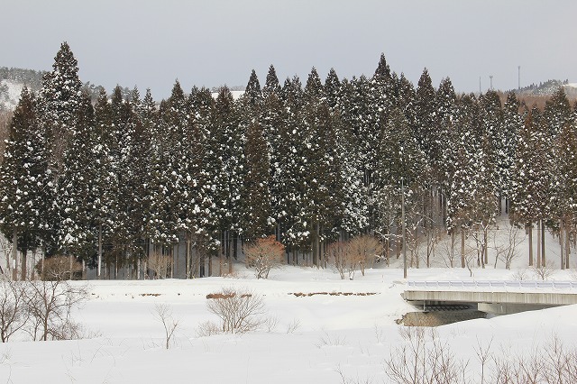 a0045932_11185647.jpg