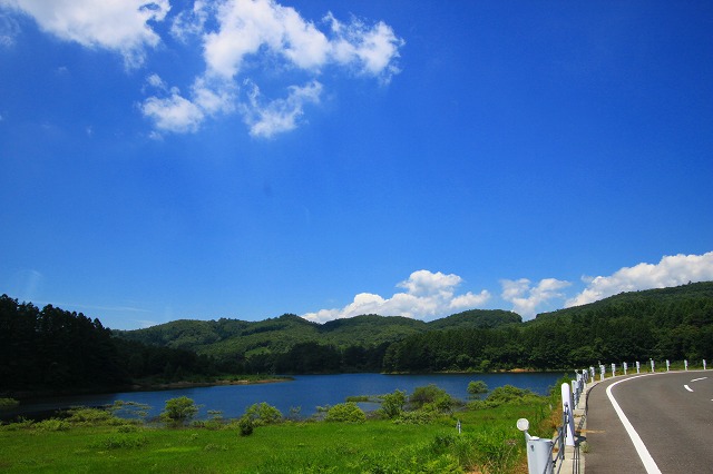 a0045932_11224376.jpg