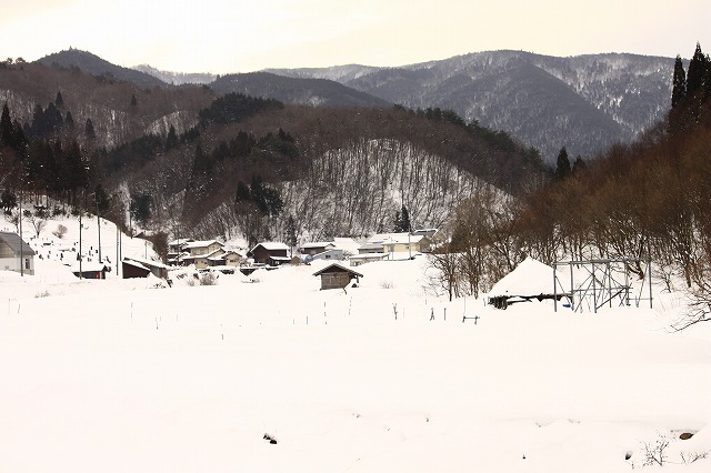 a0045932_11264333.jpg
