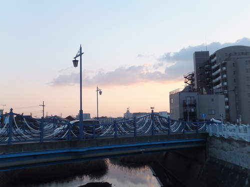 水鳥は寒くても元気.....河川散歩!_b0137932_912293.jpg