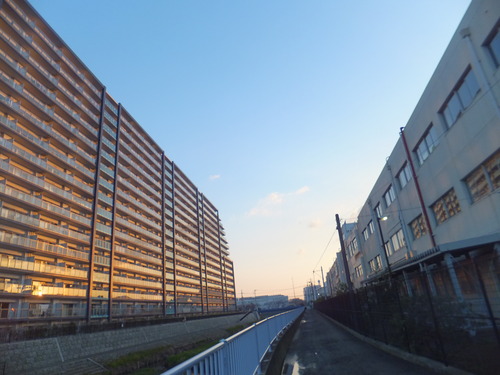 水鳥は寒くても元気.....河川散歩!_b0137932_9155030.jpg