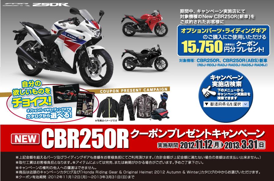 ２０１３モデルにも！ですやん！_f0056935_1058714.jpg