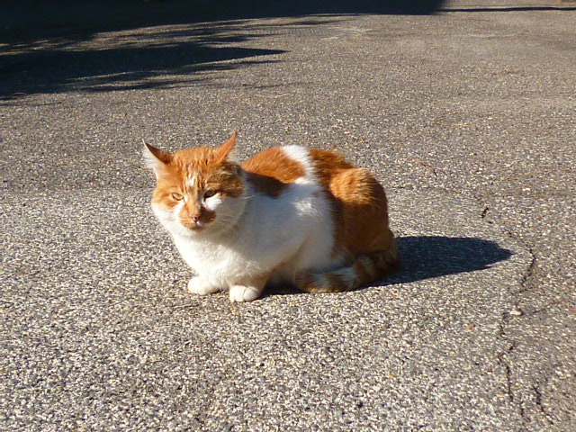 d0170140_11667.jpg