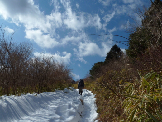 1/25　明神ヶ岳（箱根）_d0288144_212436.jpg