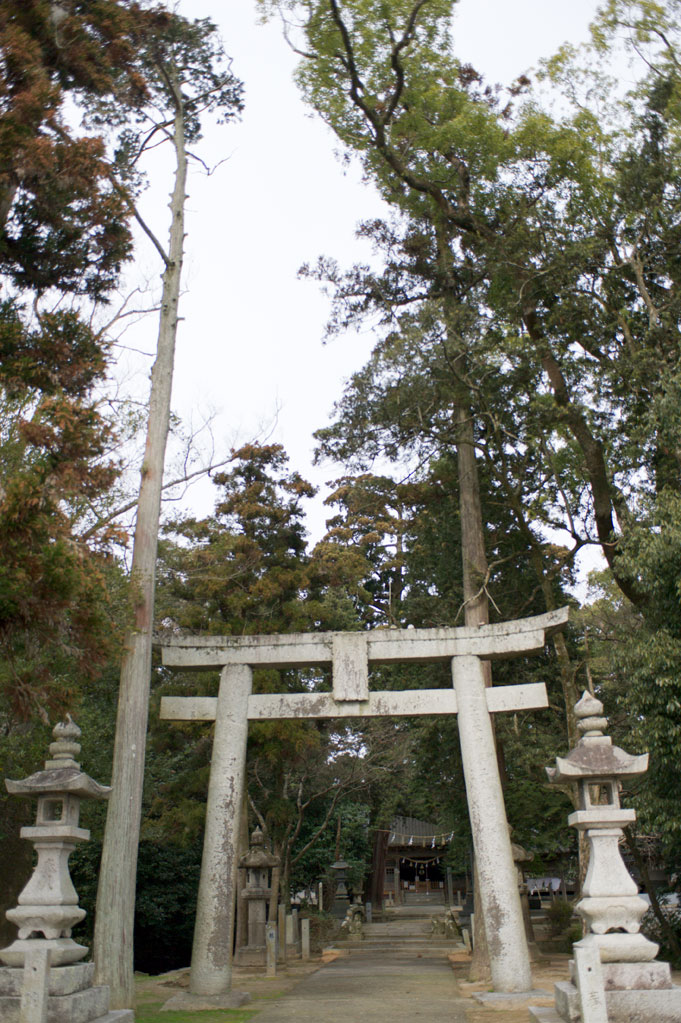 生立八幡神社　福岡県京都郡みやこ町犀川生立_b0023047_537378.jpg