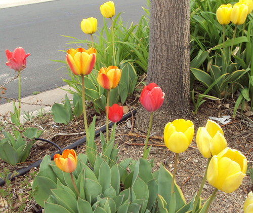 a0204348_01149100.jpg