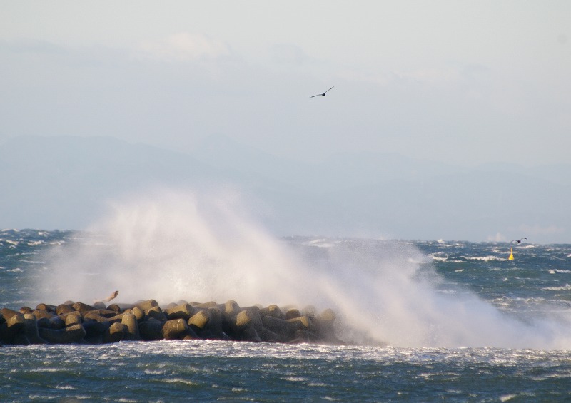 大荒れの海_c0238352_1804492.jpg