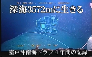水深３、５７２m海底の生き物の行動や、生態の映像記録_b0115553_1852493.png