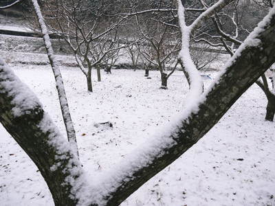 陸の孤島になりました・・・_a0254656_1729314.jpg
