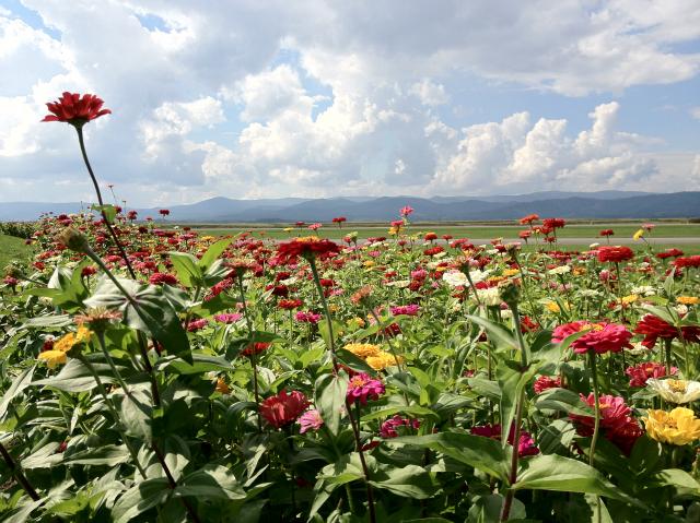 c0105957_13474552.jpg