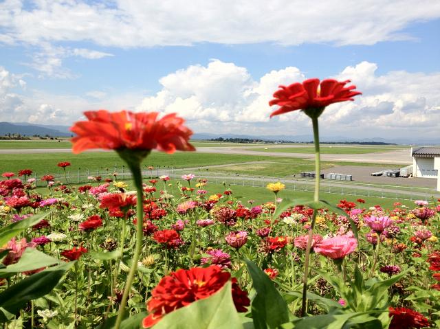 c0105957_134883.jpg