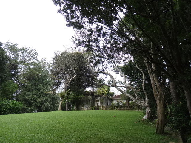f0036857_16283262.jpg