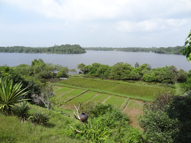 f0036857_1640131.jpg
