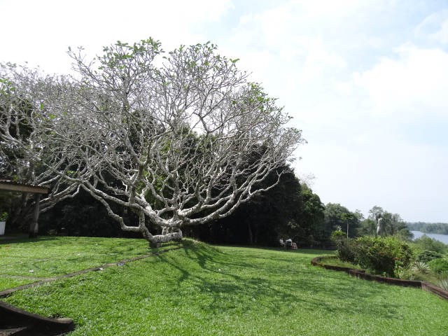 f0036857_16401877.jpg