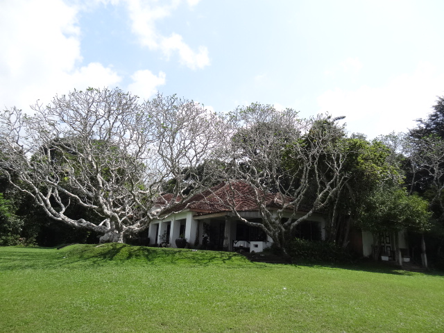 f0036857_16405441.jpg