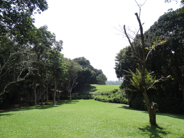 f0036857_16413764.jpg