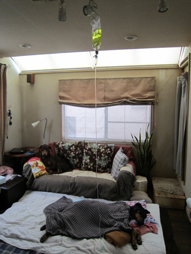 f0025769_06168.jpg