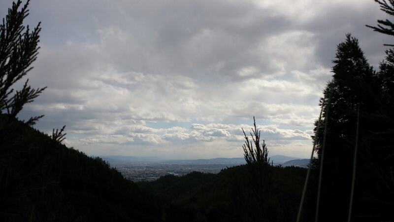f0142070_16181541.jpg
