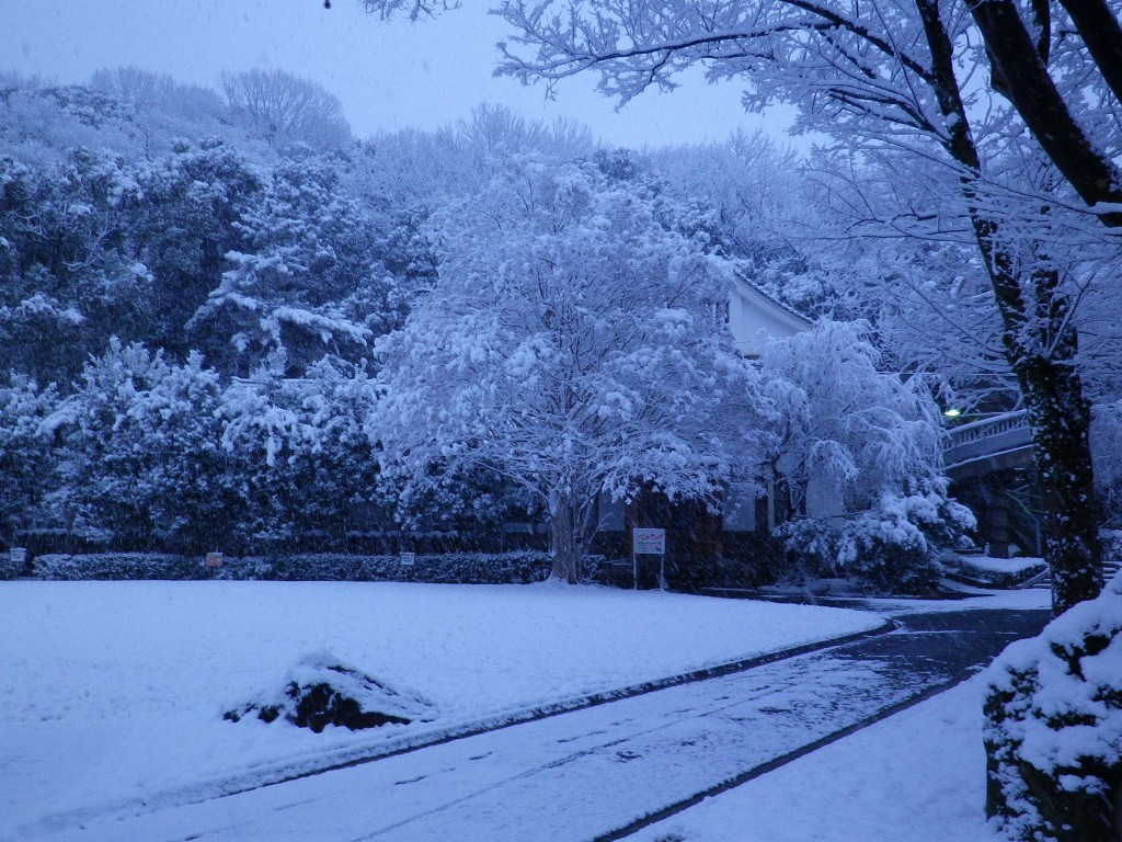 『雪降りの粕森公園を･････♪』_d0054276_20514067.jpg