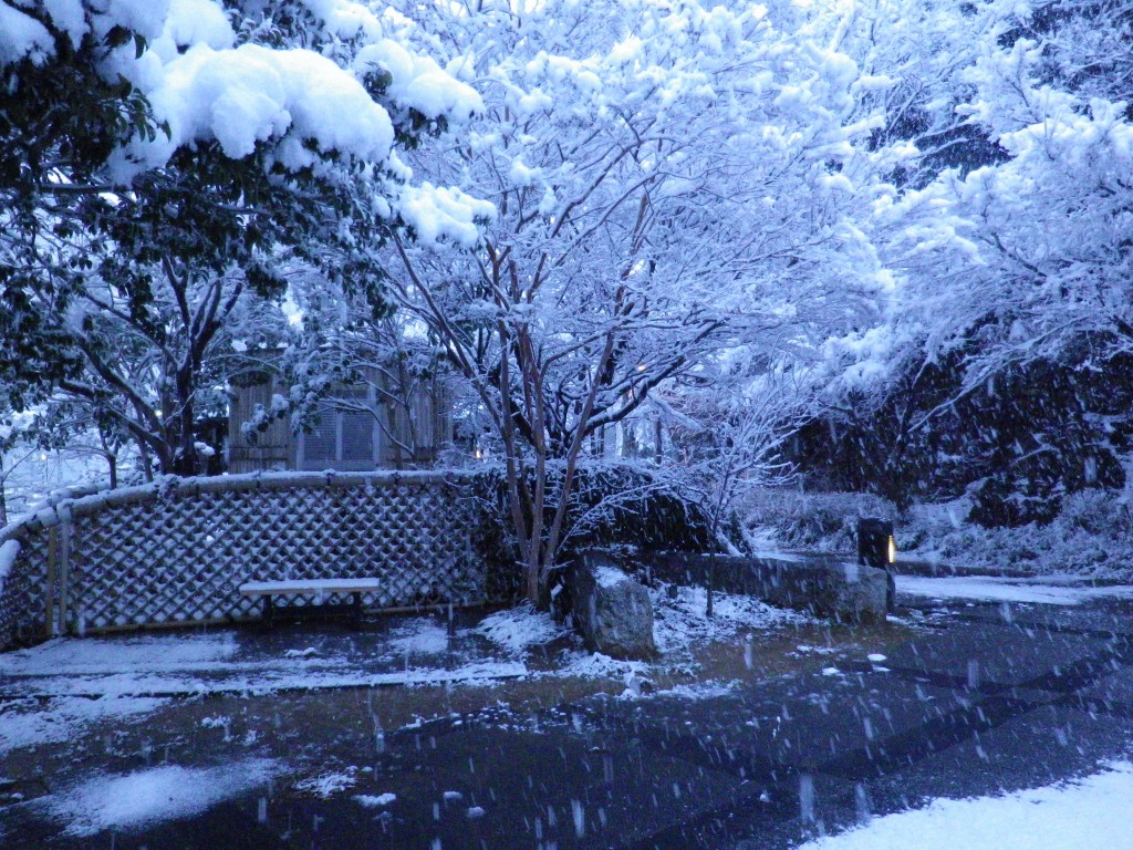 『雪降りの粕森公園を･････♪』_d0054276_2052123.jpg