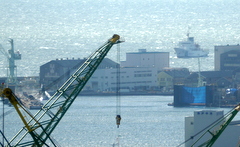 b0192588_11171656.jpg