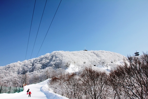 野沢温泉スキー場のアプリ_e0162089_8214914.jpg