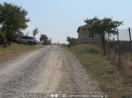 c0010496_2229556.jpg