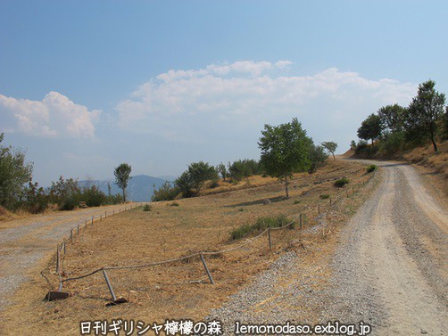 c0010496_22532334.jpg