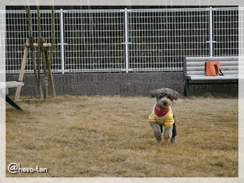 e0307102_13233734.gif