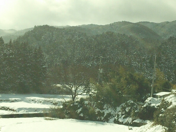 c0212604_1057159.jpg