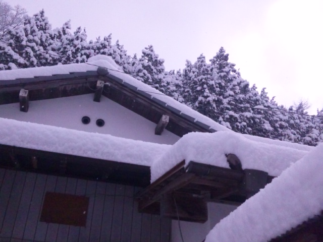 e0252905_1062112.jpg