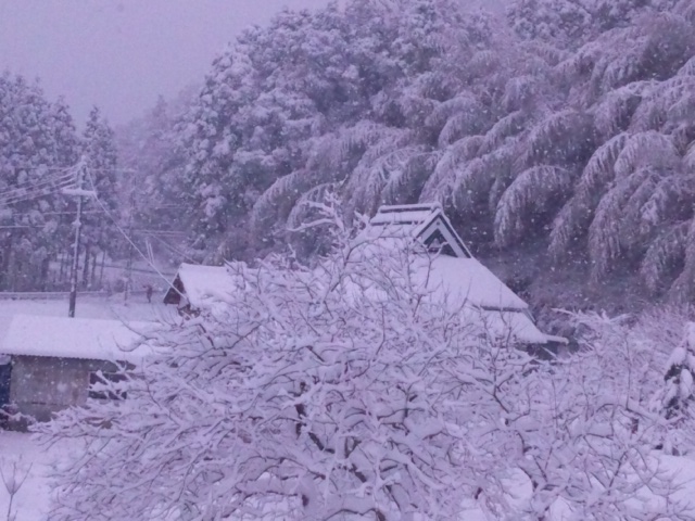 冬はつとめて 一期一会 あけぼのフェニックスからあなたへ ジャムおばさんの気まま日記 冬はつとめて 一期一会 あけぼのフェニックスからあなたへ ジャムおばさんの気まま日記