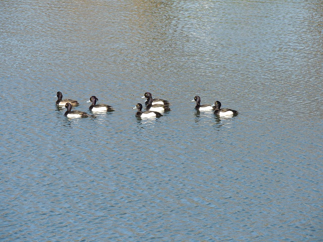 c0137507_1704312.jpg