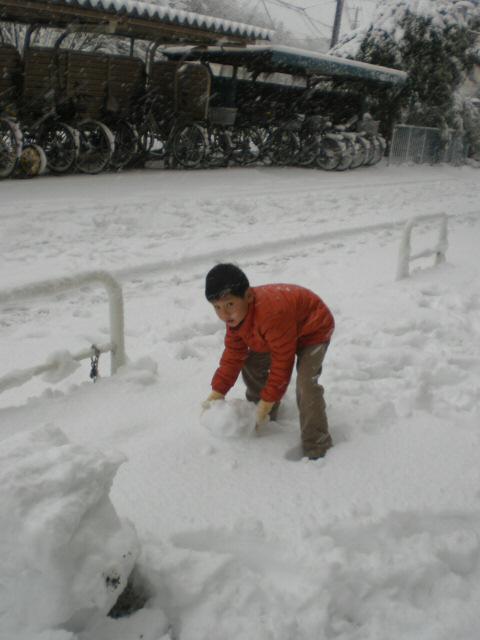 東京は大雪！（２週間前）_c0175411_2035619.jpg